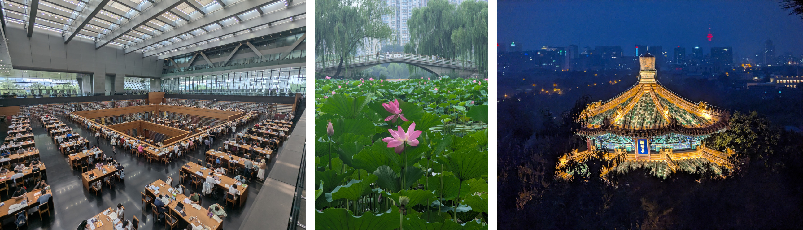 Collage of photos from Beijing