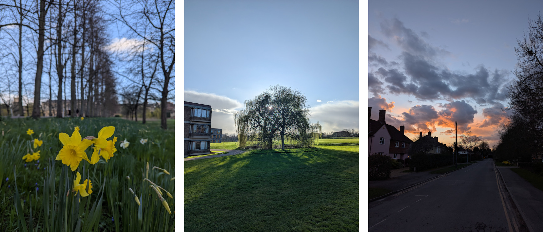 More pictures of Cambridge